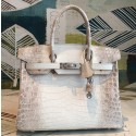 Fake Hermes Birkin 30 Bag In Himalaya Niloticus Crocodile Skin JM1364El59