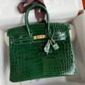 Hermes Birkin 25 Handmade Bag In Malachite Crocodile Niloticus Shiny Skin JM1014cC72