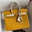 Best Hermes HSS Birkin 25 Bicolor Bag in Jaune d'or and Craie Epsom Calfskin JM253LC65