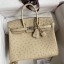 Fake Hermes Birkin 25 Retourne Handmade Bag In Parchemin Ostrich Leather JM662tr16