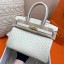 Hermes Birkin 30 Handmade Bag In Beton Ostrich Skin JM1792lu18