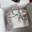 Replica Hermes Diamond Birkin 25cm In Himalaya Niloticus Crocodile Skin JM878Xe44
