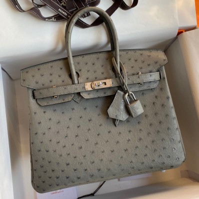 Hermes Birkin 25 Retourne Handmade Bag In Gris Tourterelle Ostrich Leather JM1663NG76