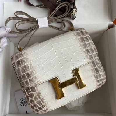 Imitation Hermes Constance 18 Handmade Bag In Himalaya Crocodile Niloticus Skin JM875qe74