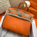 Hermes Birkin 25 Handmade Bag In Orange Ostrich Leather JM2044XB19