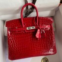 Hermes Birkin 25 Handmade Bag In Red Crocodile Porosus Shiny Skin JM1699jk62