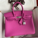 Hermes Birkin 25 Retourne Handmade Bag In Magnolia Clemence Leather JM1883fN93