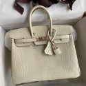 Hermes Birkin 25 Retourne Handmade Bag In Nata Matte Alligator Leather JM1425iT17