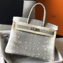 Hermes Birkin 25cm Bag In Ombre Embossed Natural Lizard JM160jI77