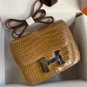 Hermes Constance 18 Handmade Bag In Beige Shiny Alligator Leather JM266GY14