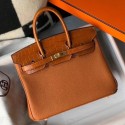 Hermes Touch Birkin 25cm Limited Edition Gold Bag JM119lx53