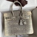 Imitation Hermes Birkin 25 Retourne Handmade Bag In Ombre Lizard Leather JM1794uj55