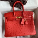 Imitation Hermes Birkin 25 Retourne Handmade Bag In Red Ostrich Leather JM78Nj42
