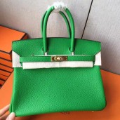 AAA Imitation Hermes Birkin 25 Handmade Bag In Bambou Clemence Leather JM247fr81