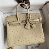 Fake Hermes Birkin 25 Retourne Handmade Bag In Parchemin Ostrich Leather JM662tr16
