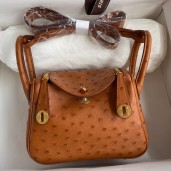 Hermes Mini Lindy Handmade Bag In Gold Ostrich Leather JM553vU99