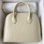 Fake Hermes Bolide 1923 25 Handmade Bag In Parchemin Ostrich Leather JM1625BC48