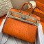 Hermes Birkin 25 Handmade Bag In Orange Ostrich Leather JM2044XB19