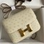 Hermes Constance 18 Handmade Bag In Parchemin Ostrich Leather JM1062nV16