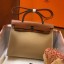 Hermes Herbag Zip 31cm Bag In Brown And Beige JM504FT69