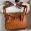 Hermes Mini Lindy Handmade Bag In Gold Ostrich Leather JM553vU99