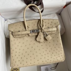 Fake Hermes Birkin 25 Retourne Handmade Bag In Parchemin Ostrich Leather JM662tr16